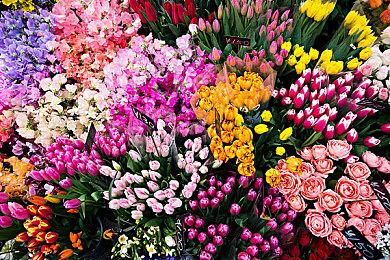 《海贼王》真人版第二季剧本已准备就绪 只待平台批准