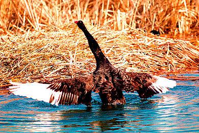 中国香港动漫电玩节开幕 PlayStation展台性感小姐姐吸睛